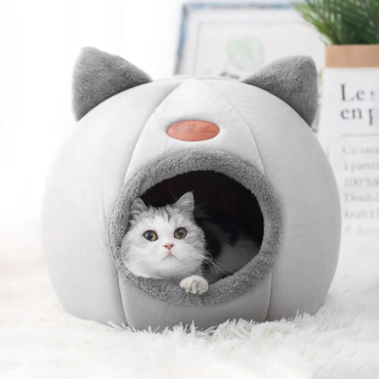 The Cat Cave