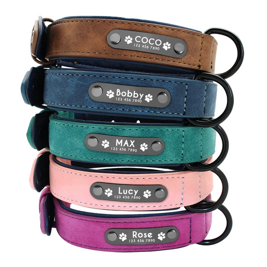 Personalized Collar