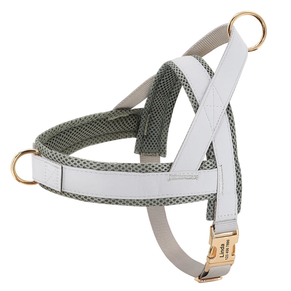 Personalized Premium Dog Harness